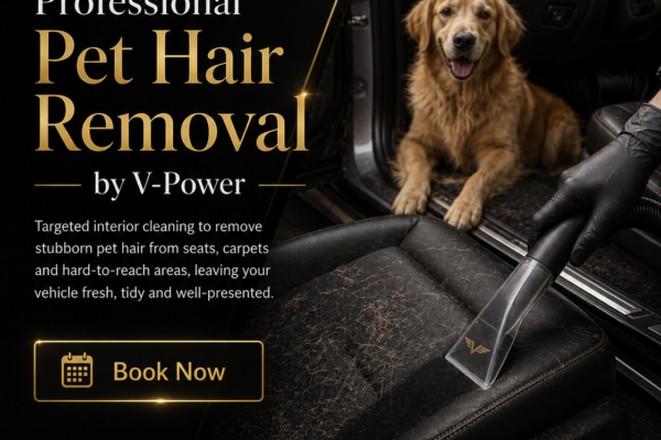 Professional Pet Hair Removal by V-Power